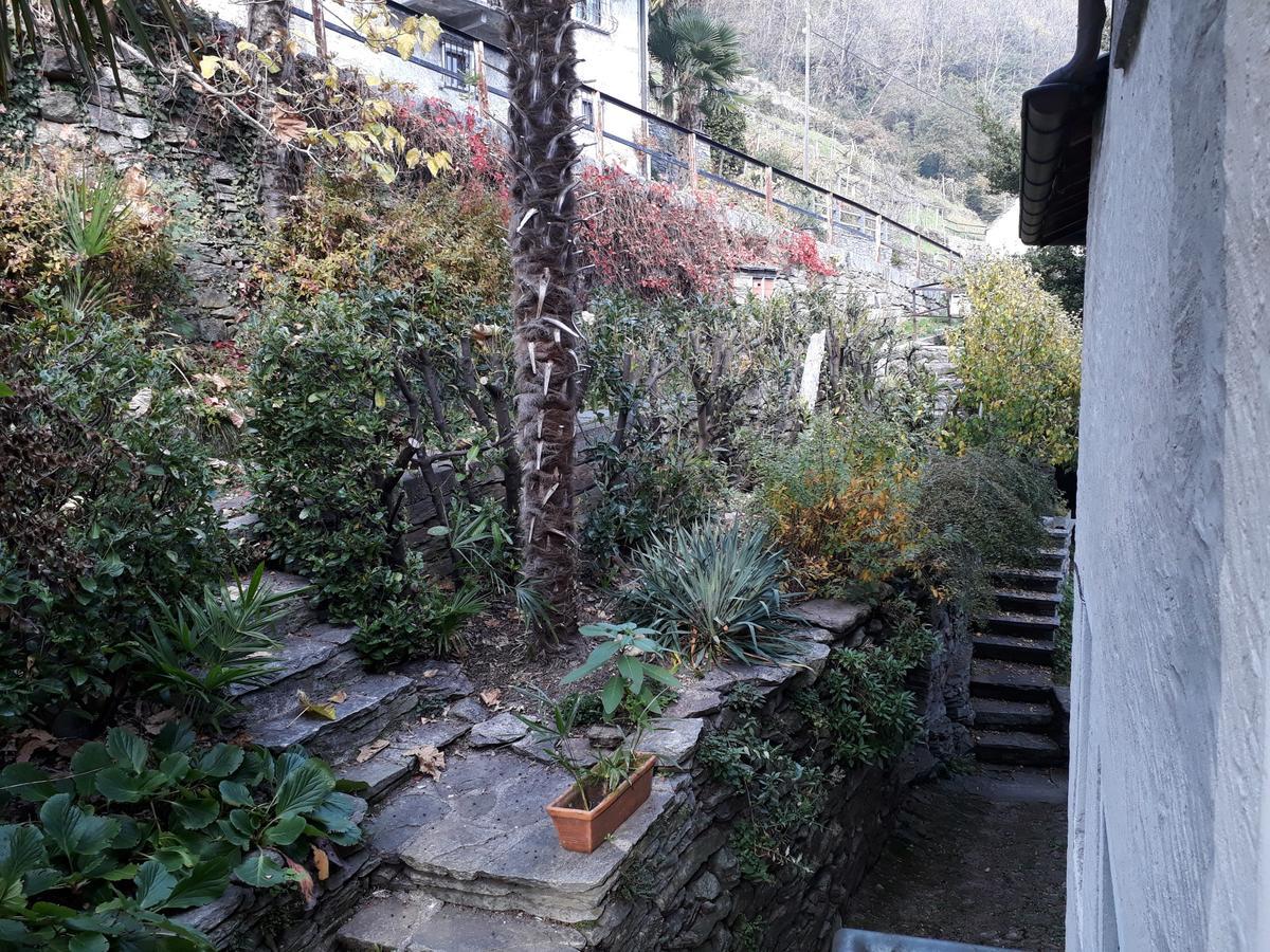 Casa Tita Appartement Intragna Buitenkant foto